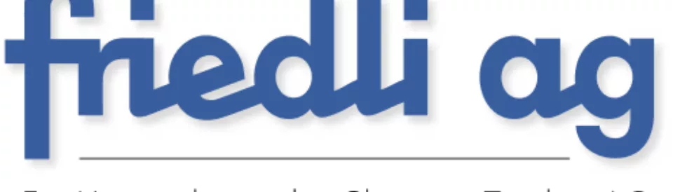 Friedli AG