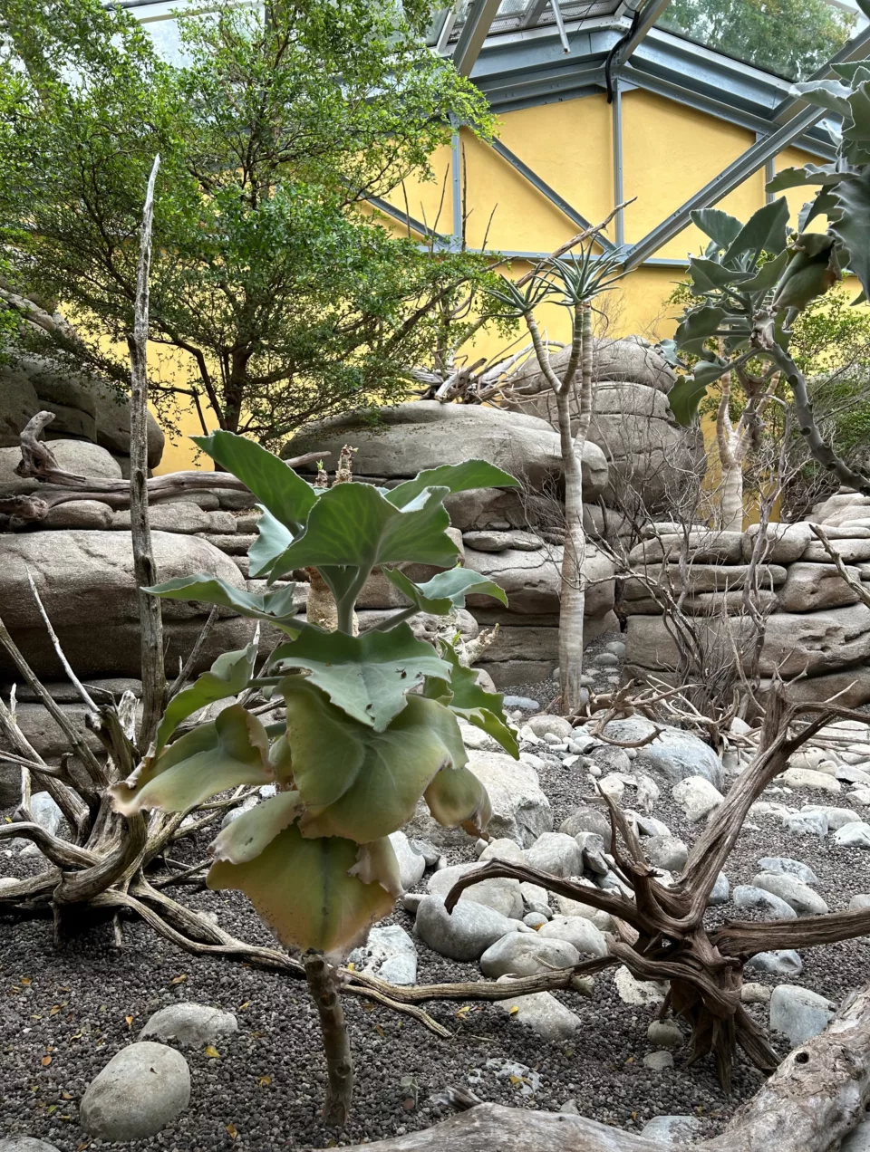 Tierpark bern